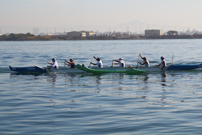 Shez Photography: Sailing and Whale watching 1-11-2014 &emdash; IMG_0260