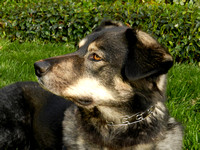 DSCN0087
