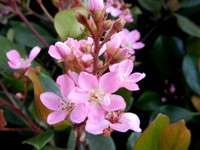 DSCN0095